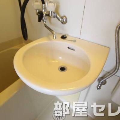浴室の中にあるタイプの洗面台です。