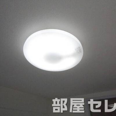 照明付いてます。