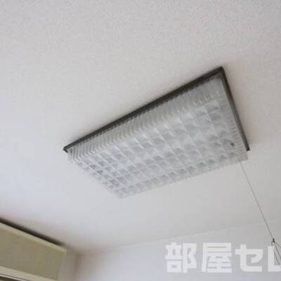 写真は2Cのものです。