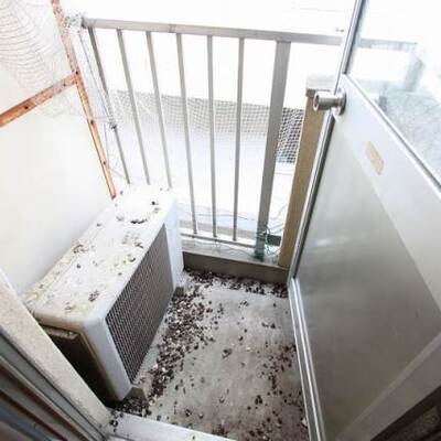 東側にベランダ。（イメージ写真）