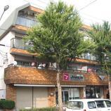 シャンポール幹Ⅰ