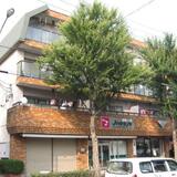 シャンポール幹Ⅰ