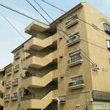 シャンポール幹Ⅱ