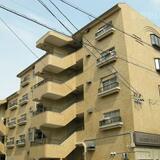 シャンポール幹Ⅱ