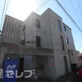 セジューネオオクラ