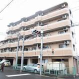 ドール津賀田