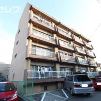 Court八家