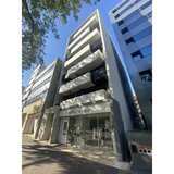 Pace Palazzo