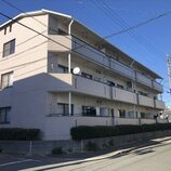 メモアール中花