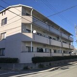 メモアール中花