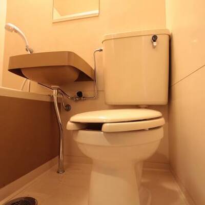 トイレも同様でお掃除ラクラク出来ます