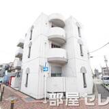 モールセゾン原
