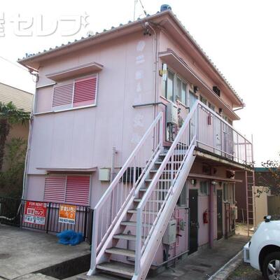 ピンク色で目立ちます。