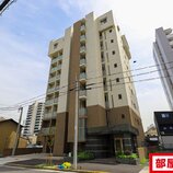 マザー花の木