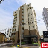 マザー花の木