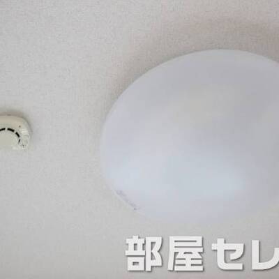 居室照明あり。